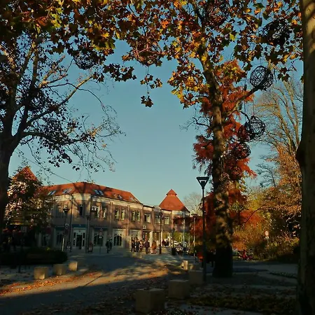 Cedar Apartman
