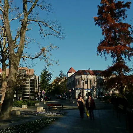 Cedar Apartman * Hévíz